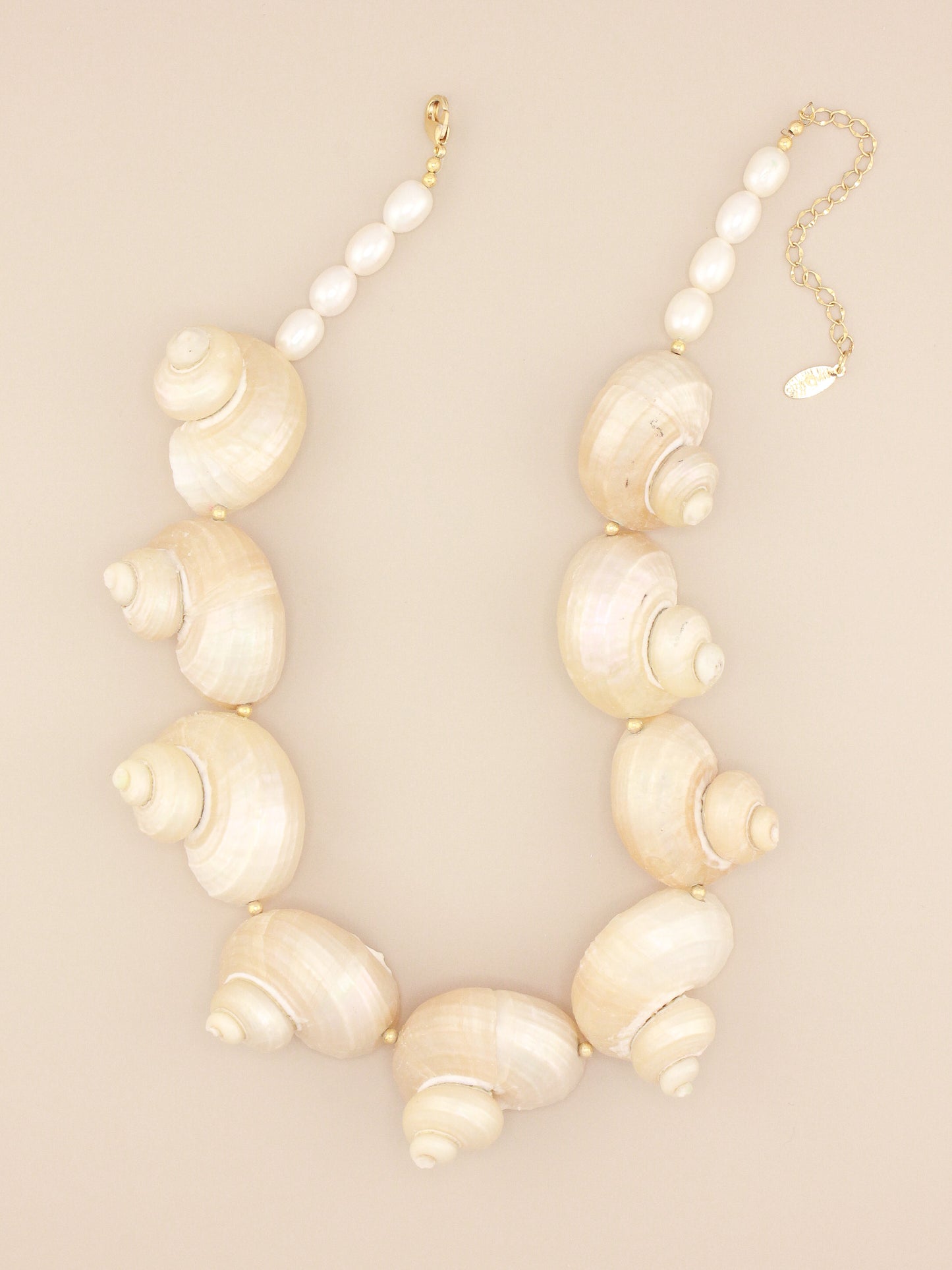 Multi Jumbo Turbo Shell Necklace
