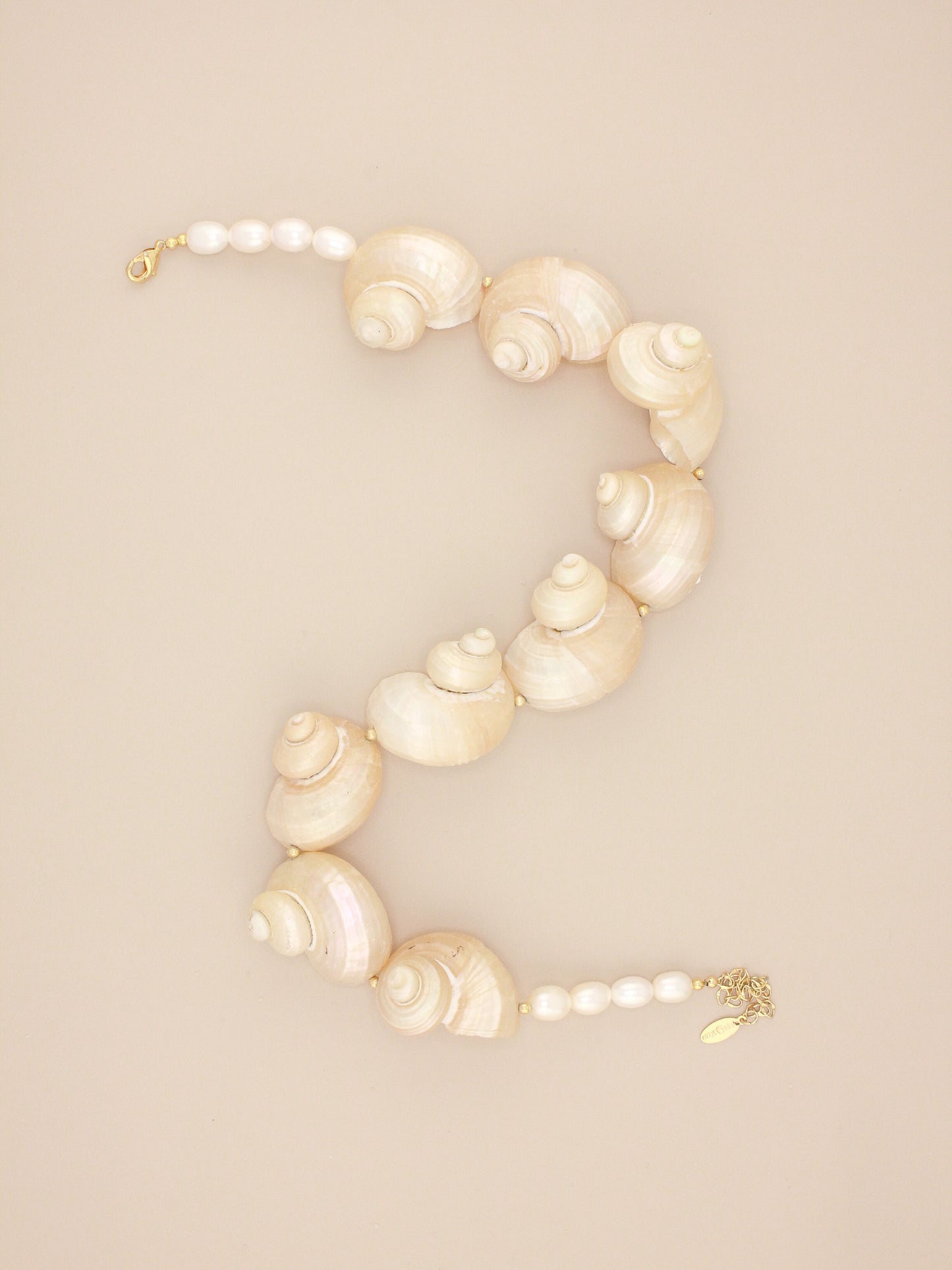 Multi Jumbo Turbo Shell Necklace