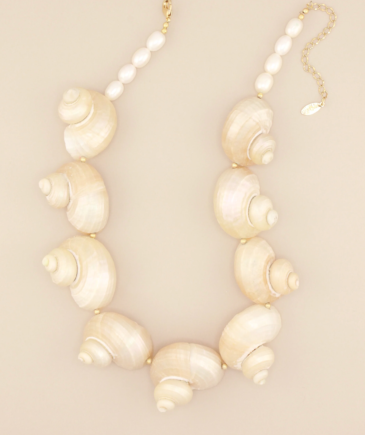 Multi Jumbo Turbo Shell Necklace